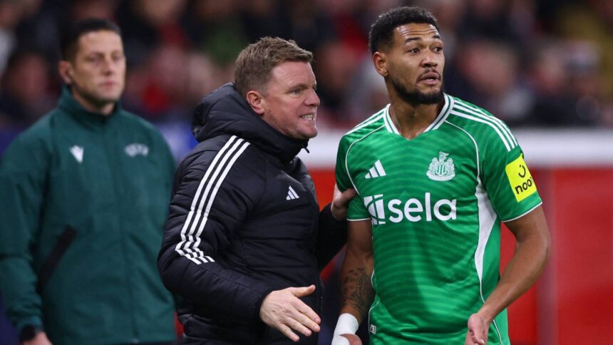 Newcastle's failure was 'a huge overpayment'