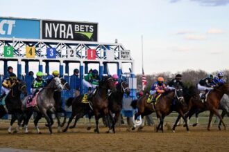 Noel's Weekend Winner: Cigar Mile Day Stakes Strategy