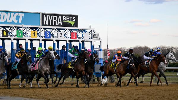 Noel's Weekend Winner: Cigar Mile Day Stakes Strategy