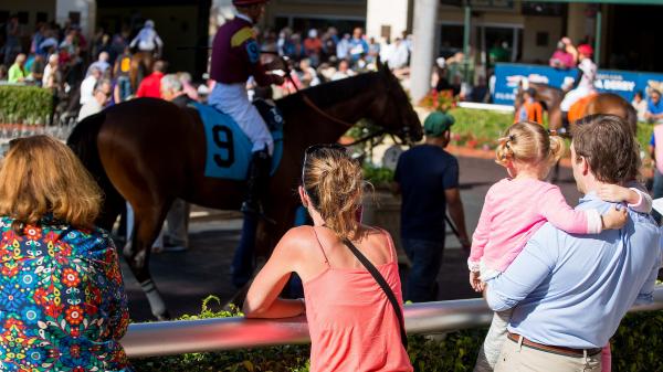 Noel's Weekend Winner: Derby Play at Tropical Park Oaks and Gulfstream