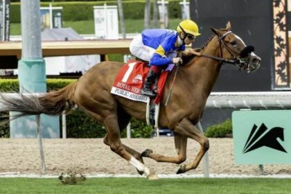 Public Assembly in Frankel, Paradise Lake Clash