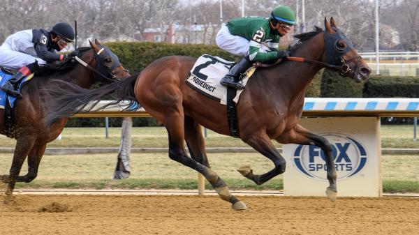 Rookie rankings as of December 16th: 2026 Kentucky Derby favorites