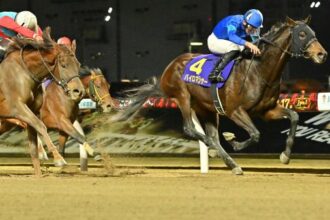 Rookie rankings as of December 23rd: Leading candidates for the 2026 Kentucky Derby