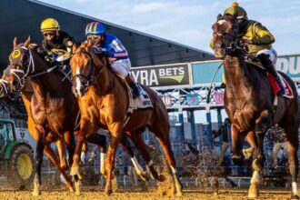 Rookie rankings as of December 9th: 2026 Kentucky Derby frontrunners