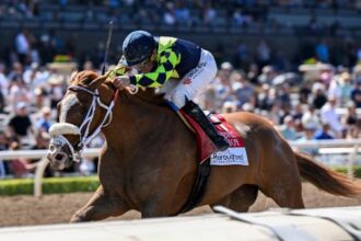 Santa Anita Betting Guide: Tips and Trends to Win at the 'Great Race Place'