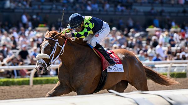 Santa Anita Betting Guide: Tips and Trends to Win at the 'Great Race Place'