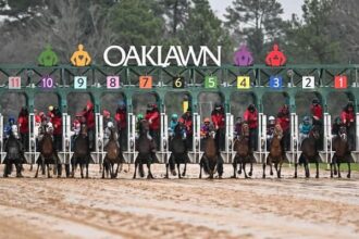 See Top 10 Winners, Top 10 Virgin Breakers