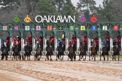 See Top 10 Winners, Top 10 Virgin Breakers