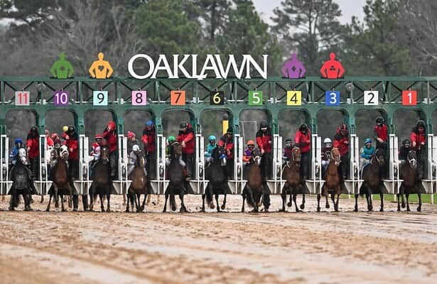 See Top 10 Winners, Top 10 Virgin Breakers