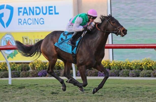 Segesta wins G1 Matriarch Stakes