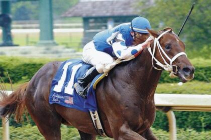 Smarty Jones: An Unlikely Hero and a Beloved Fan Favorite