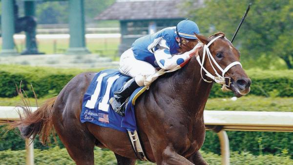 Smarty Jones: An Unlikely Hero and a Beloved Fan Favorite