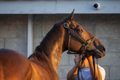 Soaped Anna will visit Gun Runner in 2026 and Carlin in 2027