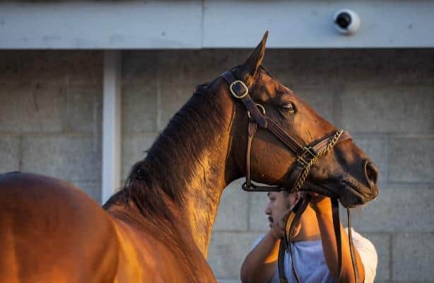 Soaped Anna will visit Gun Runner in 2026 and Carlin in 2027