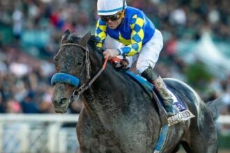 Sunday's HRN Top 10 + Fastest First Winner