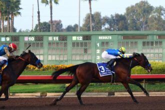 The future of Los Alamitos passes the litmus test.