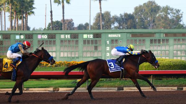 The future of Los Alamitos passes the litmus test.