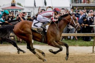 Thrillers, upsets and breathtaking catastrophes: Top 10 races of 2025