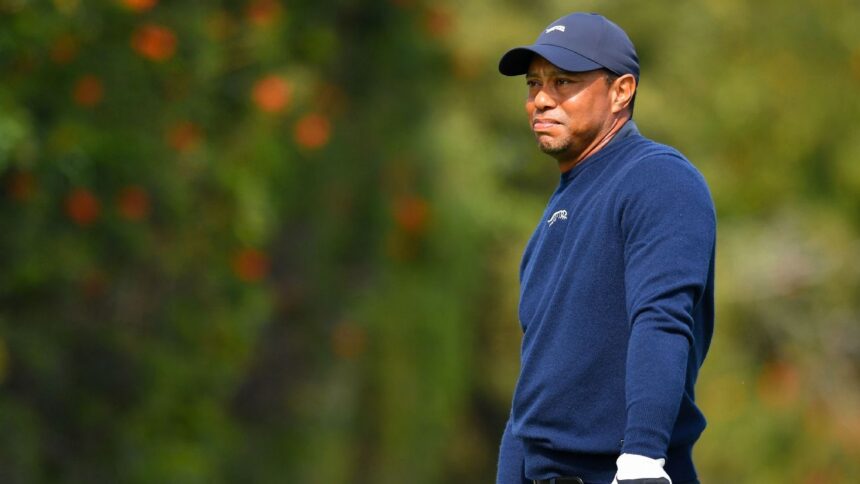 Tiger chipping, putting, says recovery from disc surgery is 'slow'
