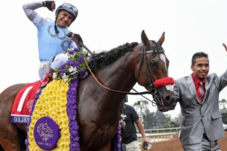 Two-time Dirt Mile Champion Golden Scents: Stars on and off the track