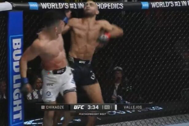 Kevin Vallejos, UFC Vegas 112, KO, Giga Chikadze, Results, UFC