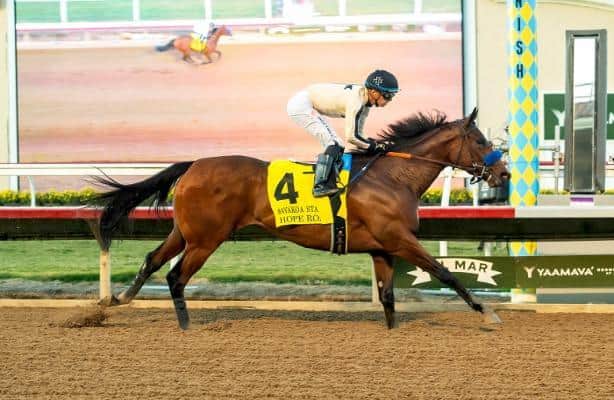 Unrivaled Time and Hope Road win Sunday Stakes