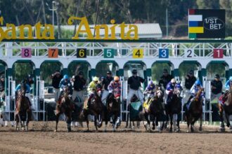 Where to watch: Horse Racing Coverage December 26-29