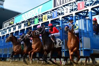 Where to watch: Horse Racing Coverage December 3-7