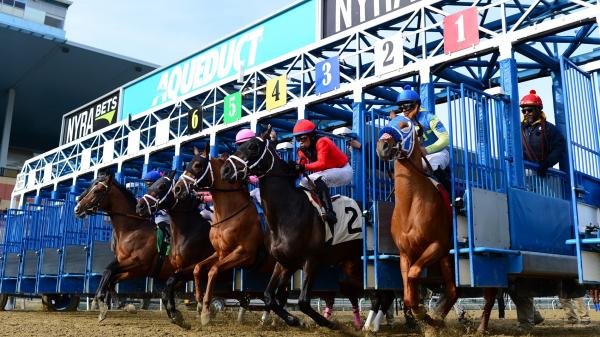 Where to watch: Horse Racing Coverage December 3-7
