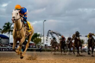 White Avario gets scratched from Mr. Prospector