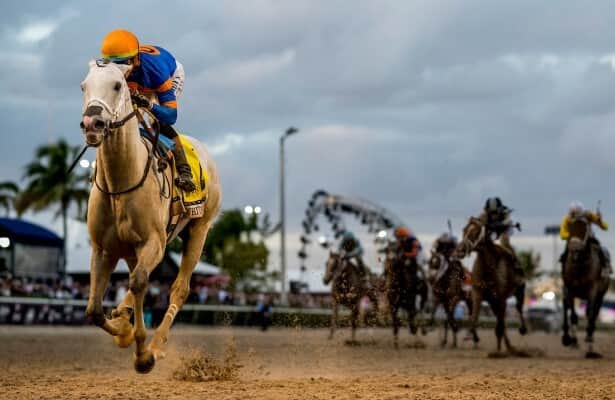 White Avario gets scratched from Mr. Prospector