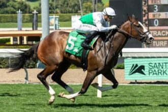 Will Zen leads Thomas Trio to American Oaks