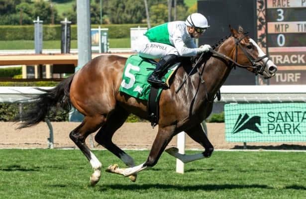 Will Zen leads Thomas Trio to American Oaks