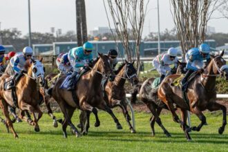 Winner of Noel's Weekend: Wide Open Saturday Stakes at the Fairgrounds