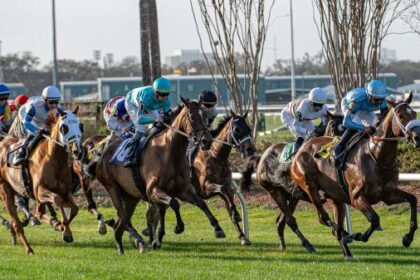 Winner of Noel's Weekend: Wide Open Saturday Stakes at the Fairgrounds