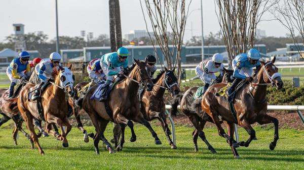 Winner of Noel's Weekend: Wide Open Saturday Stakes at the Fairgrounds