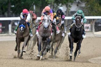 Zipse ranks 2026 candidates