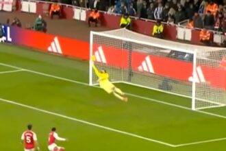 Arsenal goalkeeper David Raya makes a great save to deny Brighton winger Yankuba Minte (video)