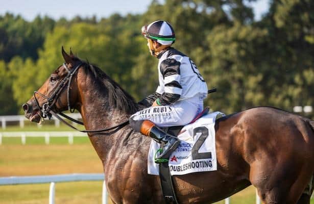 14 major prize winning horses appear
