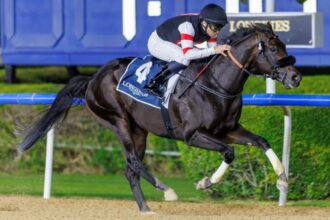 2,000 Guineas on UAE Six Speed ​​Cruise, big step towards Kentucky Derby