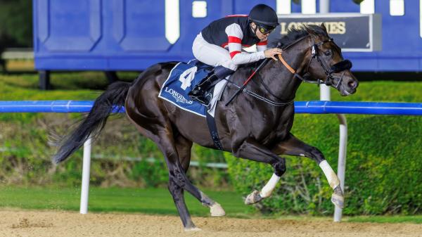 2,000 Guineas on UAE Six Speed ​​Cruise, big step towards Kentucky Derby