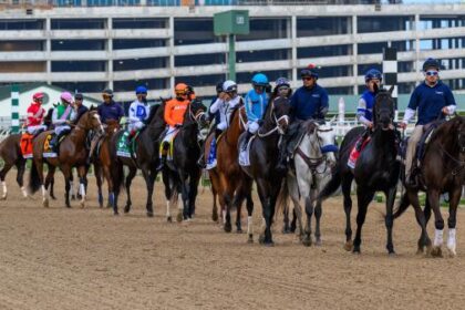 2026 Holy Bull Stakes Cheat Sheet