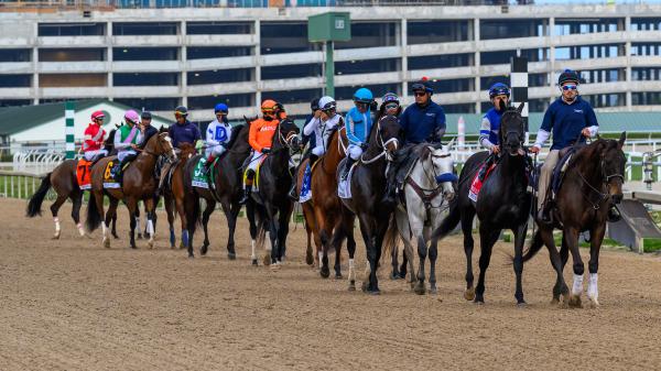 2026 Holy Bull Stakes Cheat Sheet