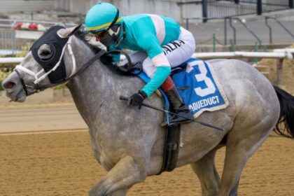 2026 Kentucky Derby Prospect Profile: Jerome Stakes Winner My World