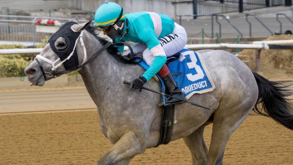 2026 Kentucky Derby Prospect Profile: Jerome Stakes Winner My World