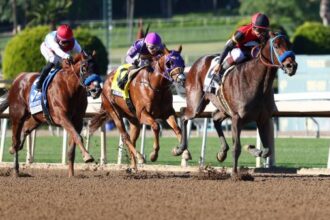 2026 Kentucky Derby Trail: 3 Heat-Ups and 3 Cool-Downs on January 21st