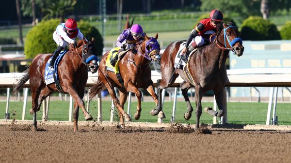 2026 Kentucky Derby Trail: 3 Heat-Ups and 3 Cool-Downs on January 21st