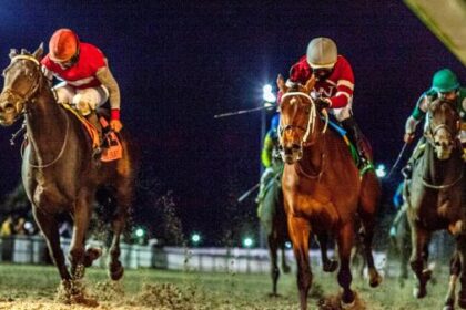 2026 Leconte Stakes Overview