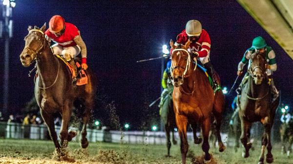 2026 Leconte Stakes Overview