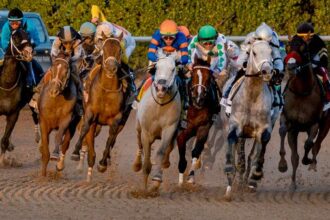 2026 Pegasus World Cup Cheat Sheet